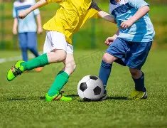 波尔,中国赛场见,证德国乒坛,亚博体育,亚博体育官网,亚博体育app,亚博体育下载